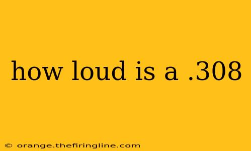 how loud is a .308