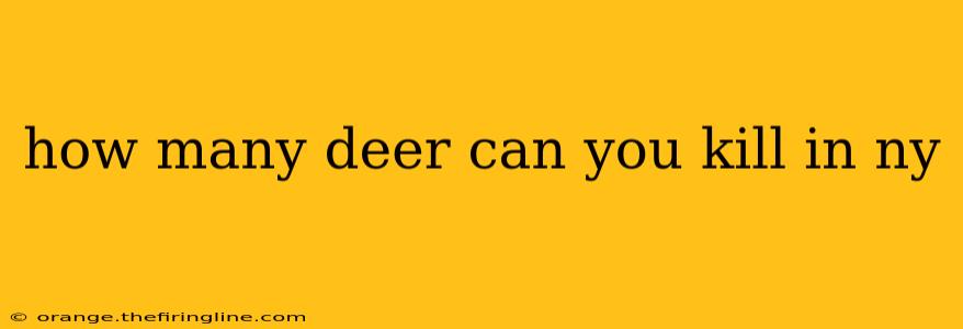 how many deer can you kill in ny