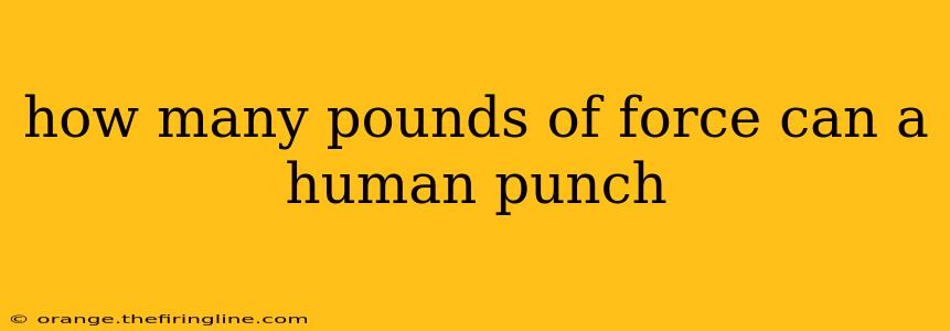 how many pounds of force can a human punch