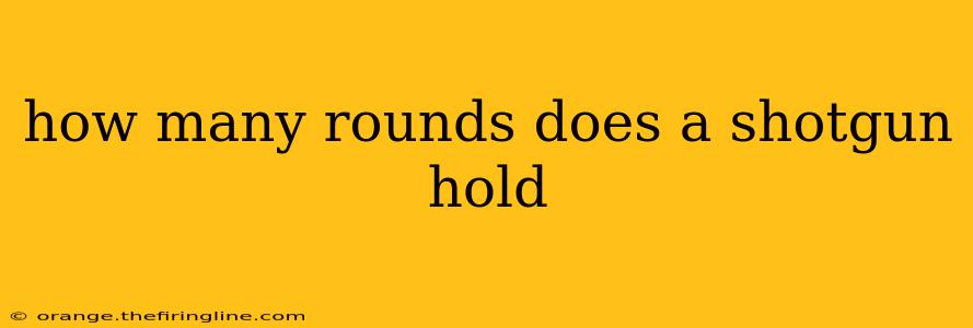 how many rounds does a shotgun hold