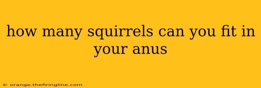 how many squirrels can you fit in your anus