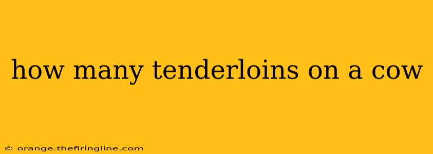 how many tenderloins on a cow