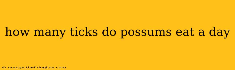 how many ticks do possums eat a day