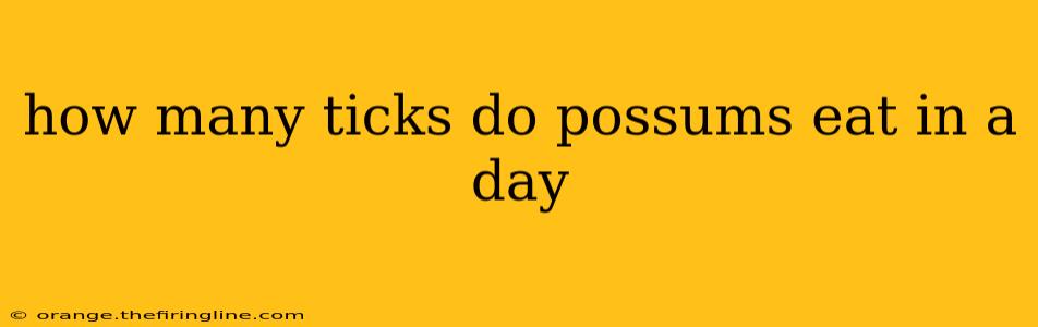 how many ticks do possums eat in a day