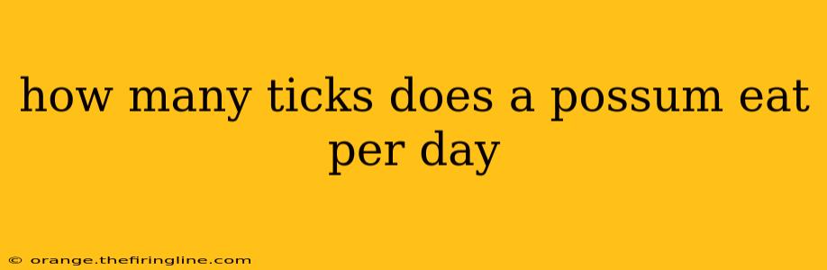 how many ticks does a possum eat per day