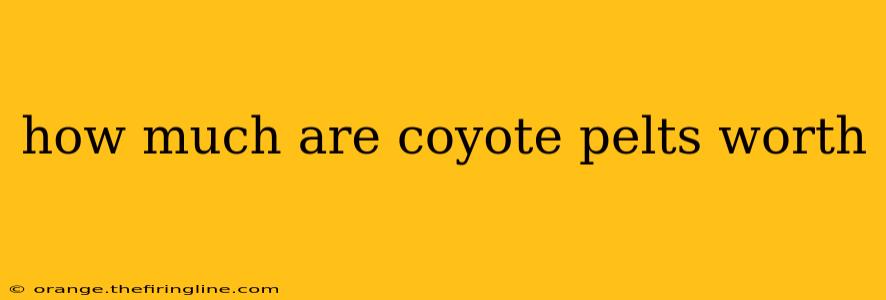 how much are coyote pelts worth