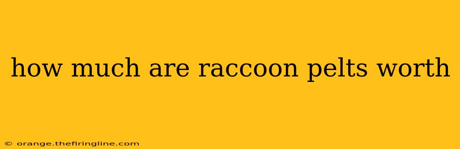 how much are raccoon pelts worth