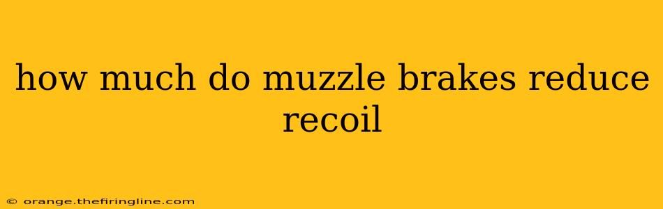 how much do muzzle brakes reduce recoil