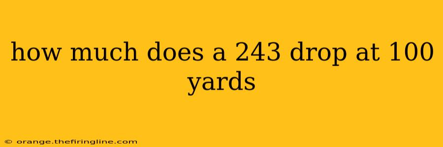 how much does a 243 drop at 100 yards