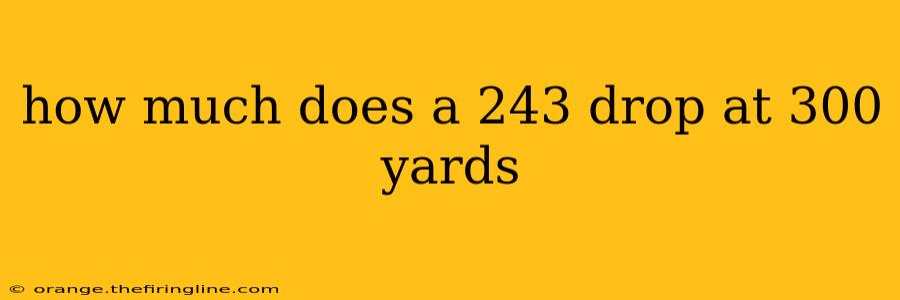 how much does a 243 drop at 300 yards