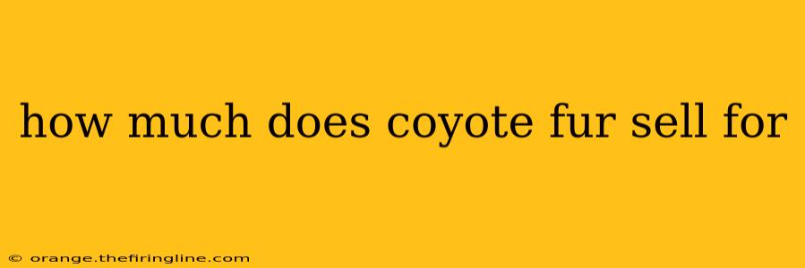 how much does coyote fur sell for