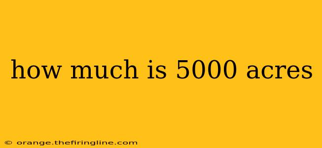 how much is 5000 acres