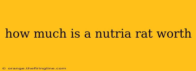 how much is a nutria rat worth