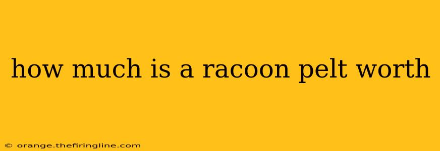 how much is a racoon pelt worth