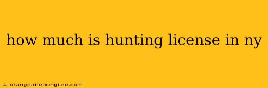 how much is hunting license in ny