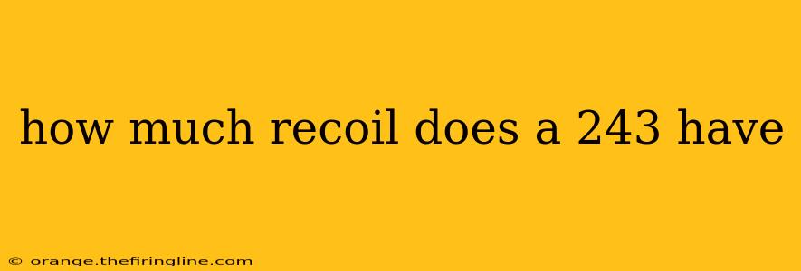 how much recoil does a 243 have