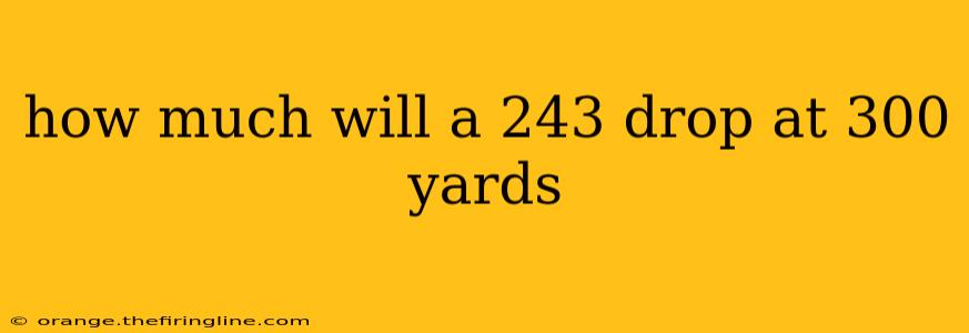 how much will a 243 drop at 300 yards