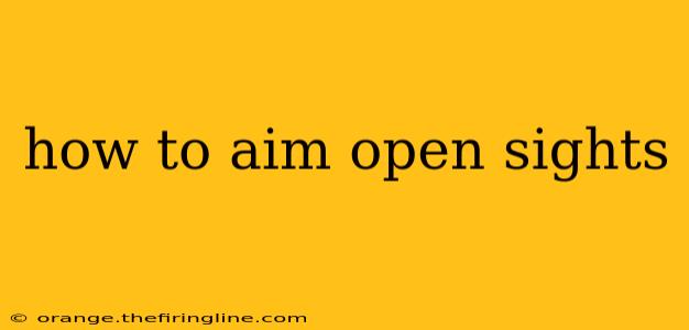 how to aim open sights