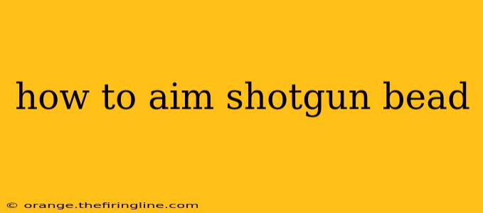 how to aim shotgun bead