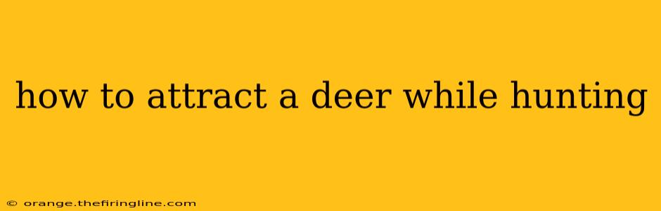 how to attract a deer while hunting