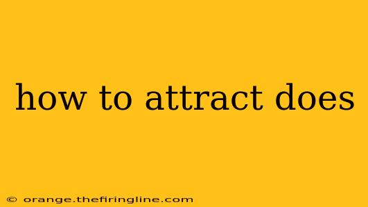 how to attract does