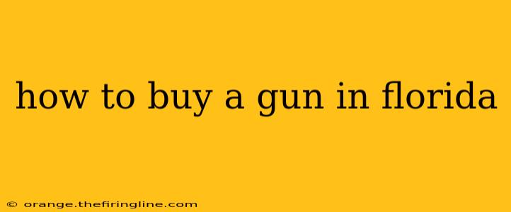 how to buy a gun in florida