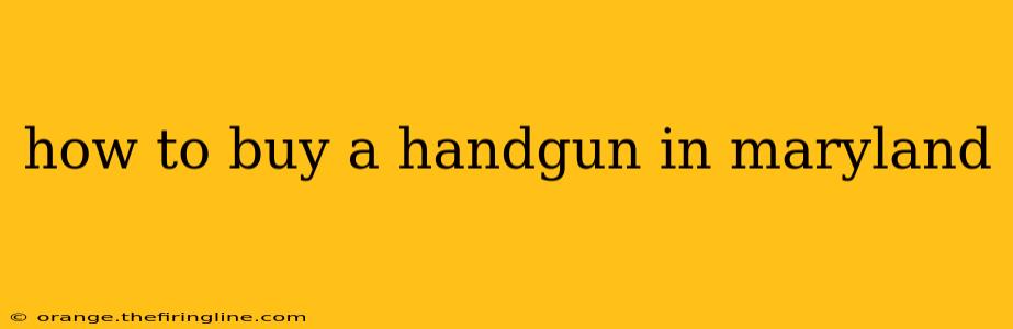 how to buy a handgun in maryland