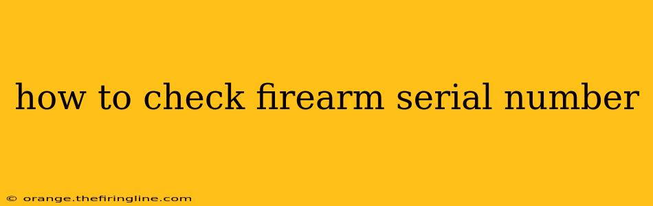 how to check firearm serial number