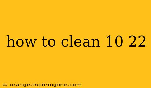 how to clean 10 22