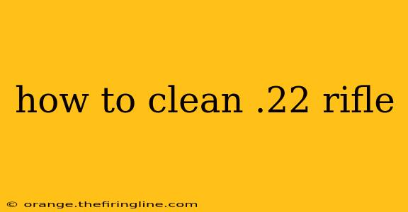 how to clean .22 rifle