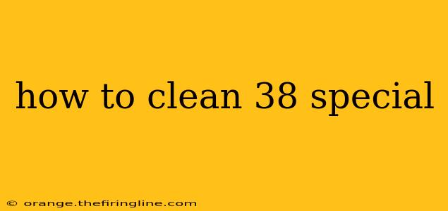 how to clean 38 special