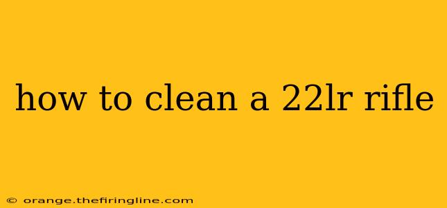 how to clean a 22lr rifle