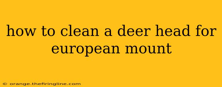 how to clean a deer head for european mount