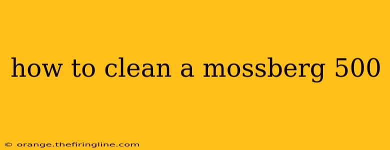 how to clean a mossberg 500