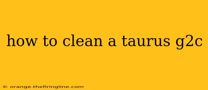 how to clean a taurus g2c