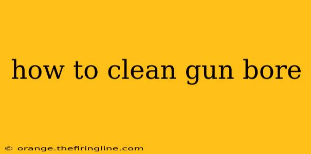 how to clean gun bore