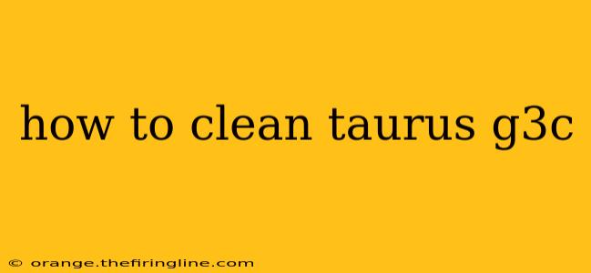 how to clean taurus g3c