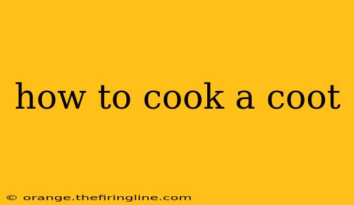 how to cook a coot