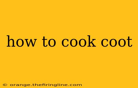 how to cook coot