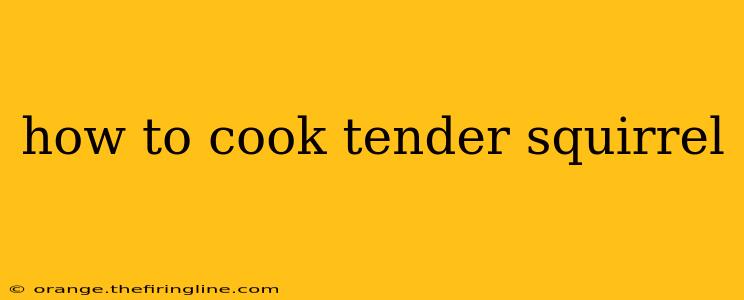 how to cook tender squirrel