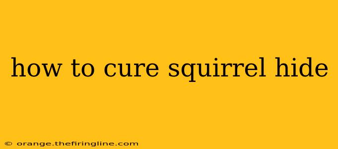 how to cure squirrel hide