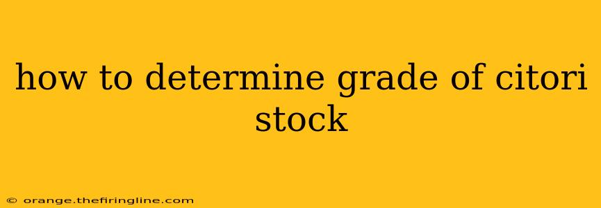 how to determine grade of citori stock