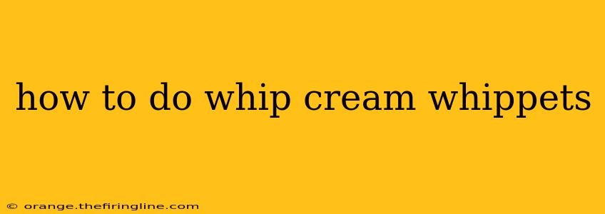 how to do whip cream whippets