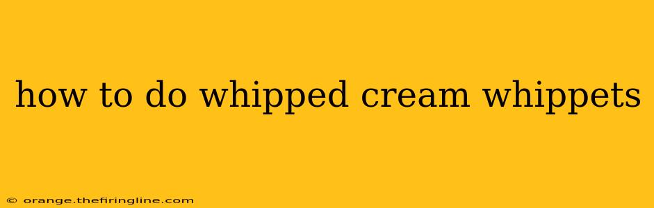 how to do whipped cream whippets