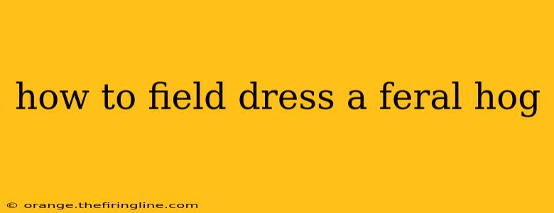 how to field dress a feral hog