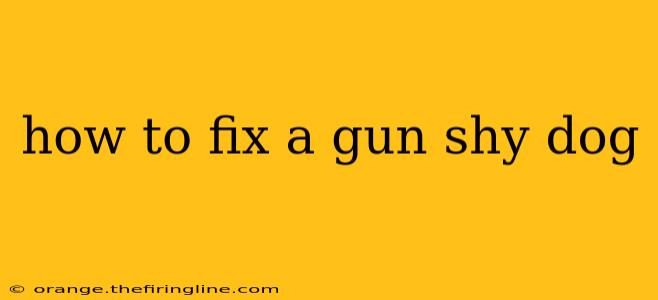 how to fix a gun shy dog