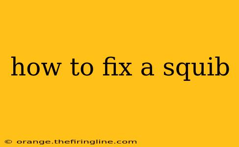 how to fix a squib