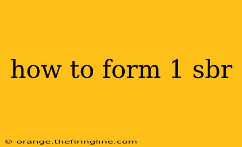 how to form 1 sbr