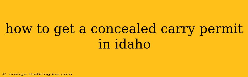 how to get a concealed carry permit in idaho