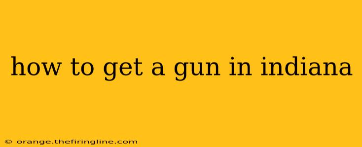 how to get a gun in indiana